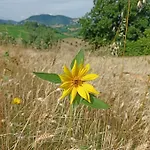 La Casa Di Mastro Ivetto *