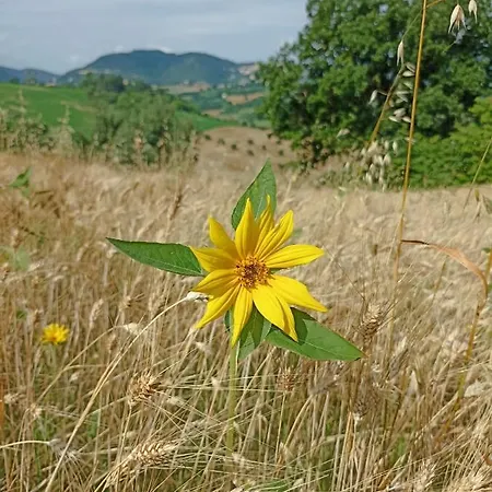 La Casa Di Mastro Ivetto *