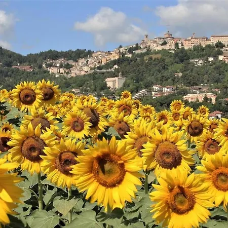 度假居 La Casa Di Mastro Ivetto