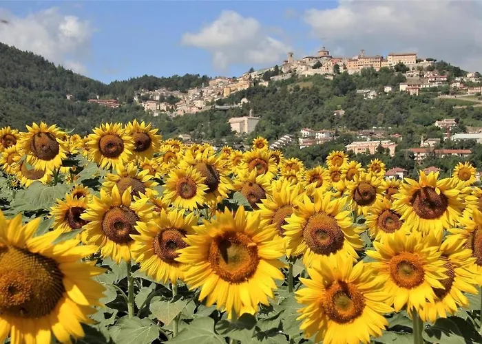 Σπίτι διακοπών La Casa Di Mastro Ivetto